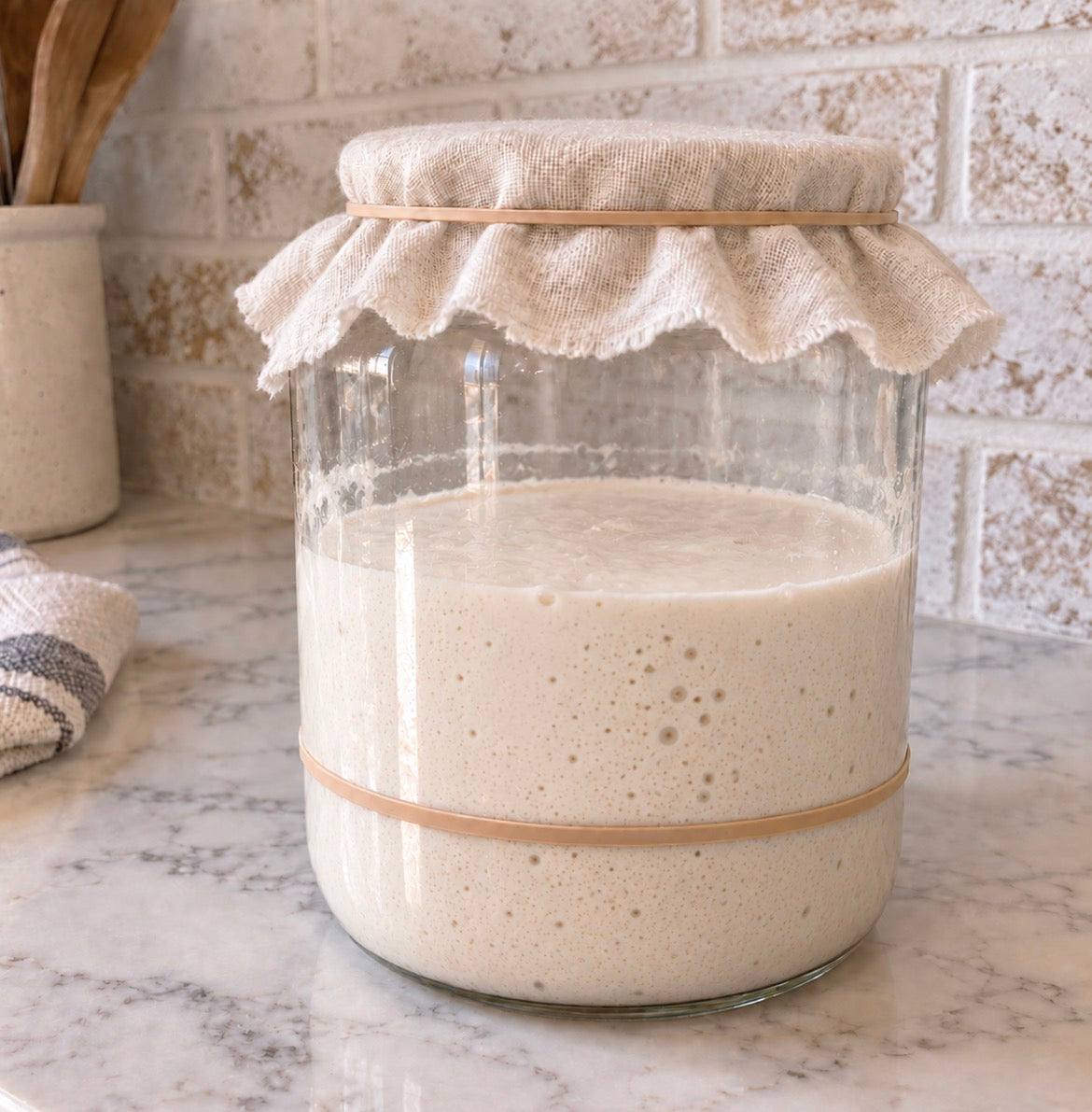 "Doughris" Dehydrated Sourdough Starter